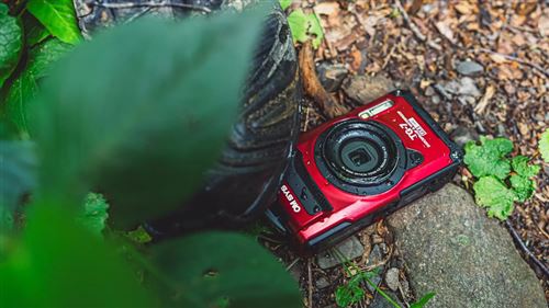 Imagem do produto 10